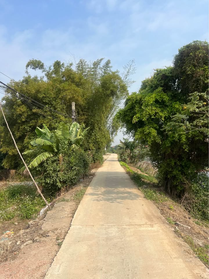 Đất nền Phù Ủng, Ân Thi 172.8m² giá 1.8 tỷ - Sổ đỏ sang tên ngay!