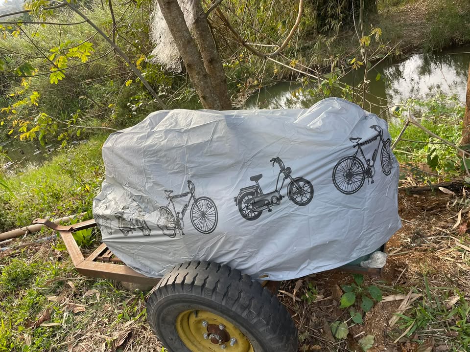 Đất thổ cư 210m² tại Quốc lộ 14C, Đắk Mil - Giá chỉ 1.4 tỷ, có bớt!