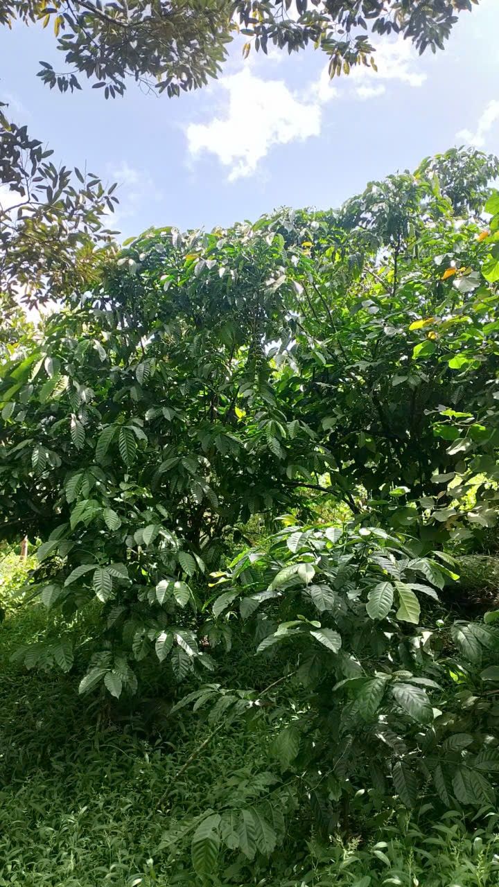 Đất nền 2 xào Lộc Nga - 7200m² giá thỏa thuận - Hẻm thông tứ phía thuận tiện!