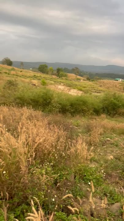 Đất nền 3 sào xã Đan Phượng, Lâm Hà chỉ 200 triệu - Cơ hội đầu tư hấp dẫn!