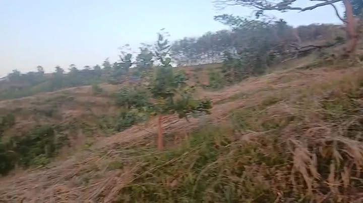 Đất nền Phú Sơn Bù Đăng 20.000m² giá 200 triệu - Cơ hội đầu tư tuyệt vời!