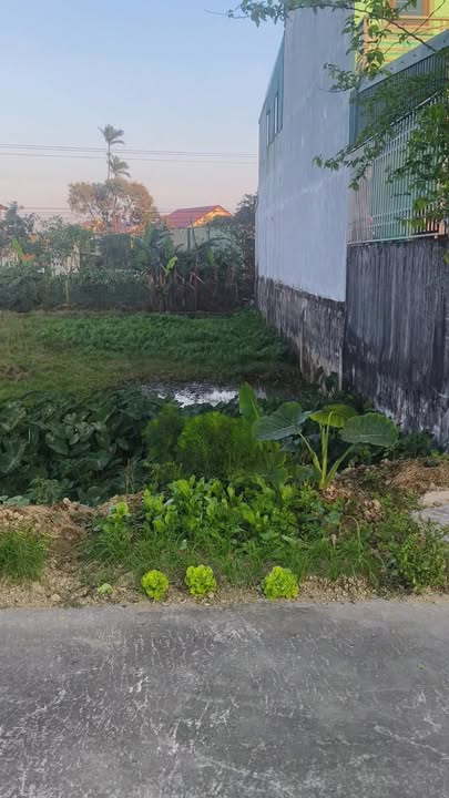 Đất nền Thị trấn Hưng Nguyên 200m² giá 3 tỷ - Cơ hội đầu tư hấp dẫn!