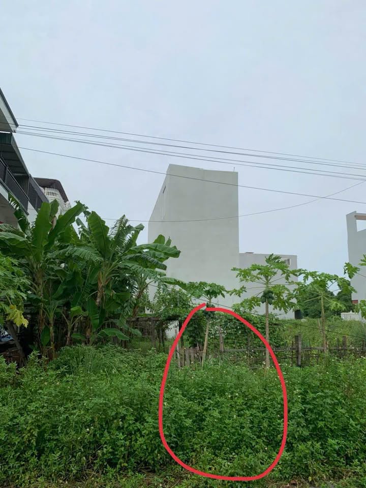 Đất nền Lạc Long Quân, Quận Tây Hồ 80m² giá 3.6 tỷ - Đầu tư sinh lời hấp dẫn!