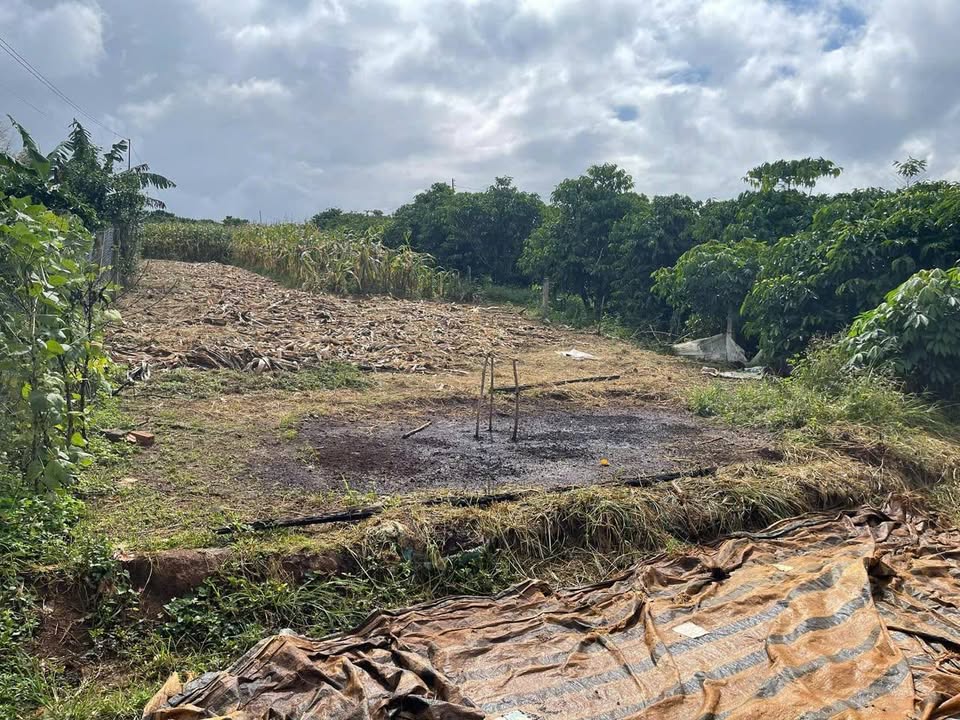 Đất thổ cư 5000m² tại thôn 7 Lộc An giá 2 tỷ - Đầu tư sinh lời ngay!