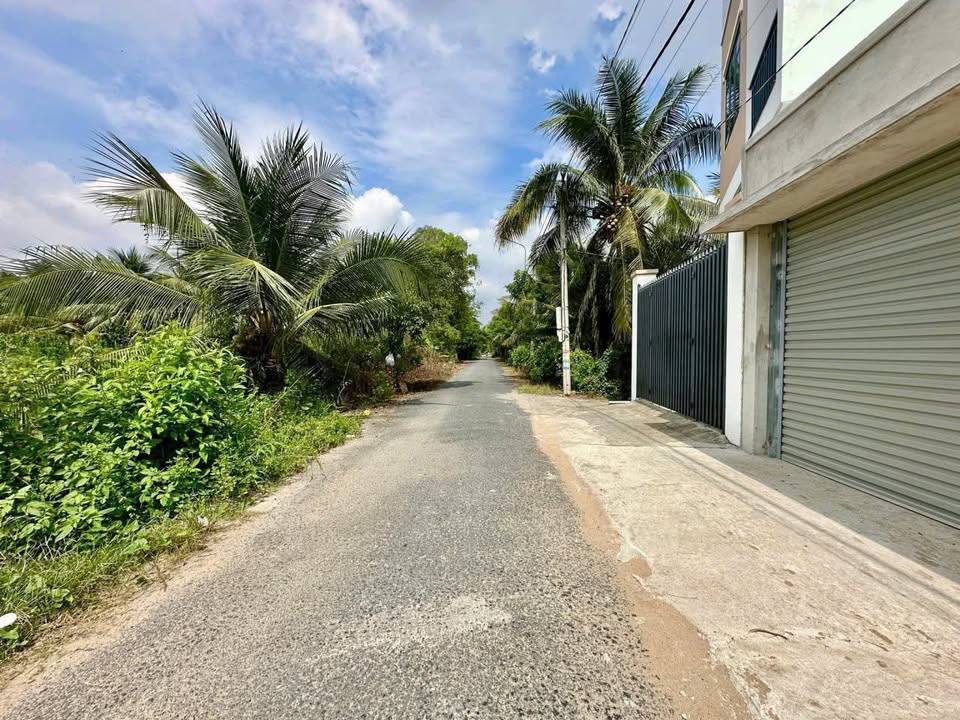 Đất mặt tiền đường N5, Tân Mỹ Chánh, 115m² giá 1.1 tỷ - Sổ hồng đầy đủ, thương lượng ngay!