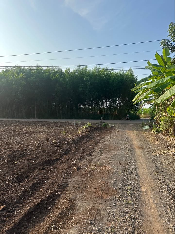 Đất nền Châu Đức 130m² giá 460 triệu - Cơ hội đầu tư tuyệt vời!