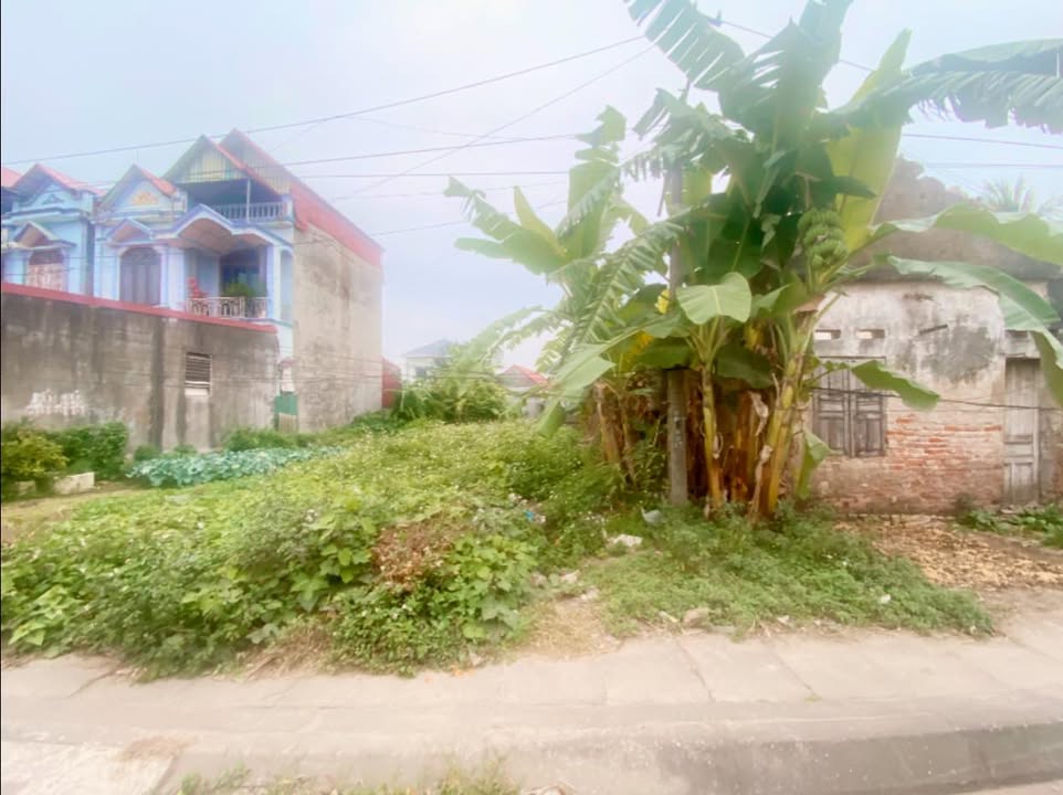 Đất tại Cộng Lạc, Tứ Kỳ, 125m² giá chỉ 3-4 tỷ - Mặt tiền 6m, vị trí đẹp cho kinh doanh!