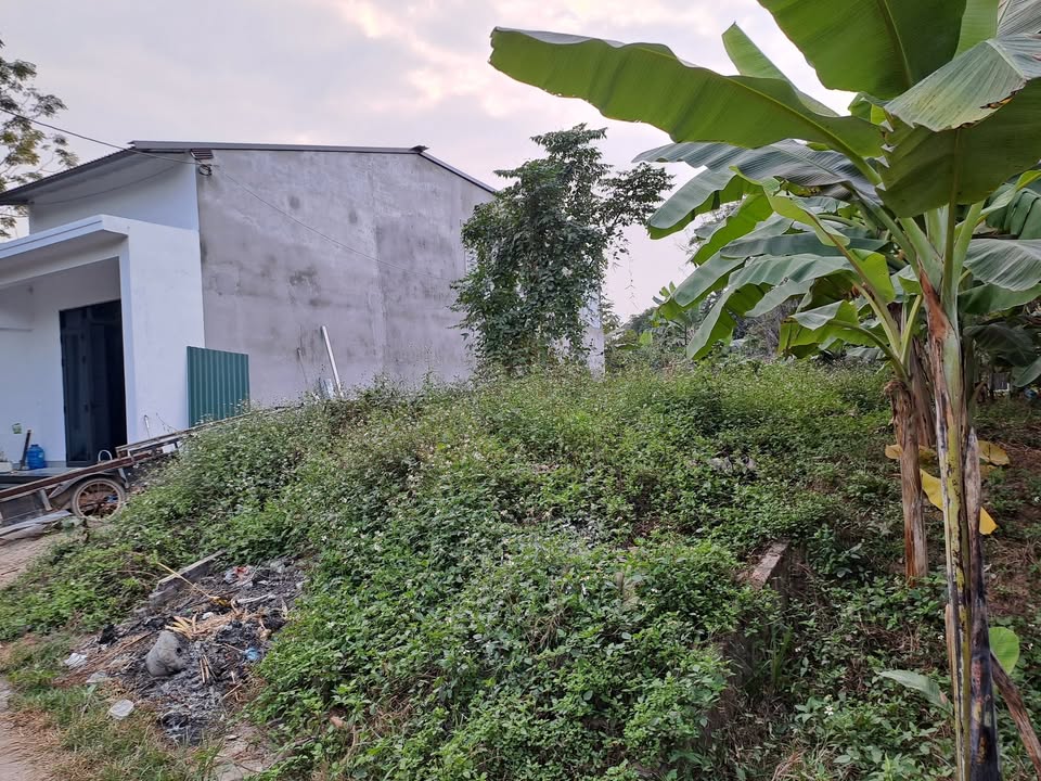 Đất nền Phường Nông Tiến Tuyên Quang 81m² giá 8xx triệu - Chính chủ cần bán gấp!