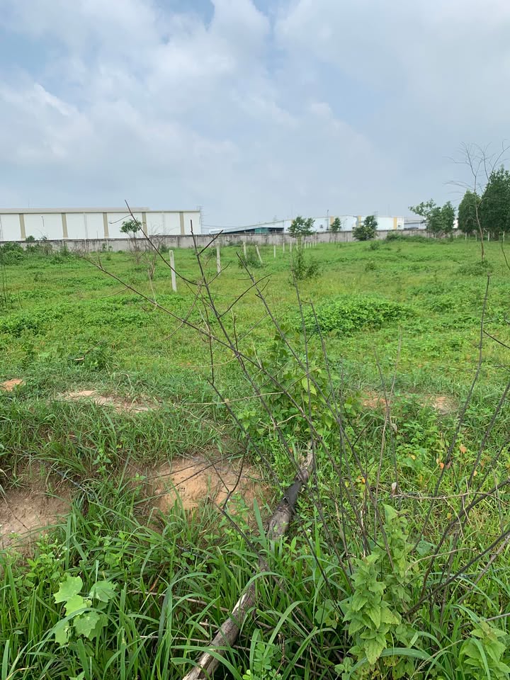 Đất thổ cư 3500m² tại xã Long Đức, Long Thành - Giá chỉ 5.6 tỷ!