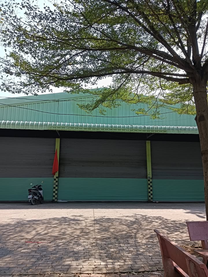 Kho xưởng cho thuê Đảo Kim Cương, 500m² giá 80 triệu/tháng - Không gian thoáng đãng, thuận tiện giao thương!