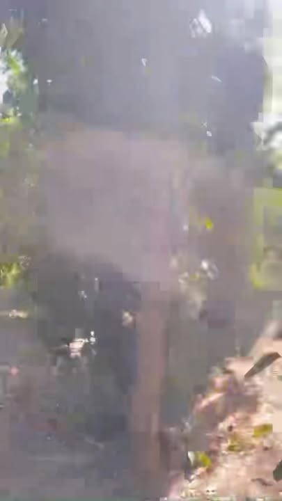 Farm 1,7ha tại xã Ea Ral, Huyện Ea H'leo - Giá 6.7 tỷ, pháp lý rõ ràng!