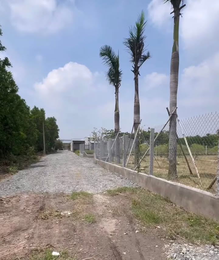 Đất vườn 1306m² xã Vĩnh Thanh Củ giá 9.142 tỷ - Đường ô tô 6m thuận tiện!