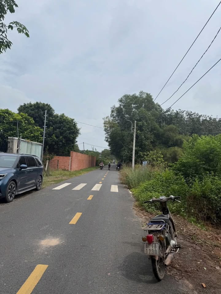 Đất nền 3151m² An Điền Bến Cát giá 2.5 tỷ - Pháp lý rõ ràng