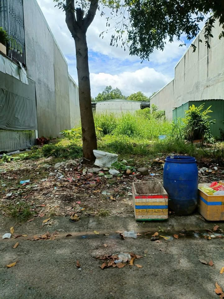 Đất thổ cư 150m² tại KCN Bàu Bàng - Giá 1.54 tỷ, cơ hội đầu tư sinh lời!