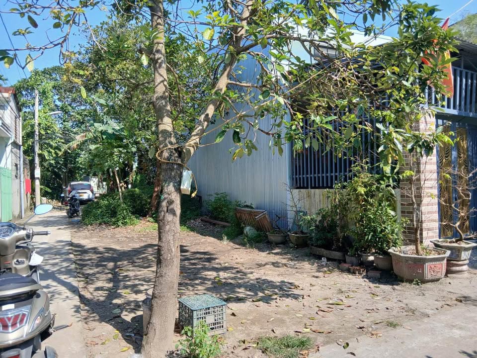 Đất kiệt ô tô Hòa Thọ Đông 100m² giá 20 tỷ - Sẵn sàng xây dựng ngay!