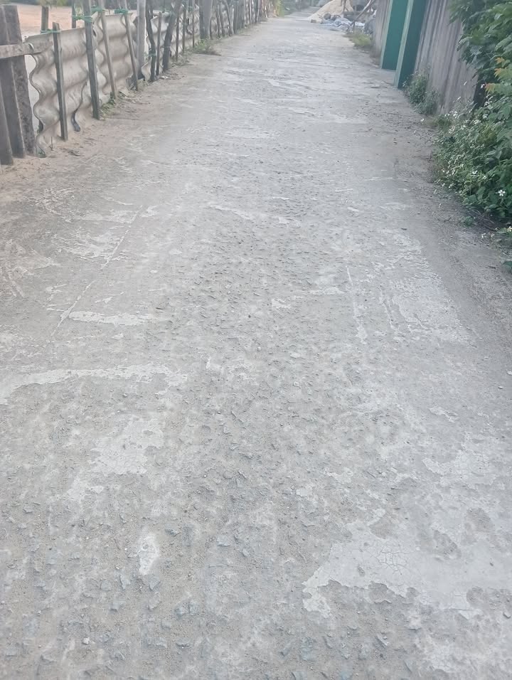 Đất nền Tân Hải 140m² giá thỏa thuận - Đất ở cao ráo, ô tô vào tận nơi!