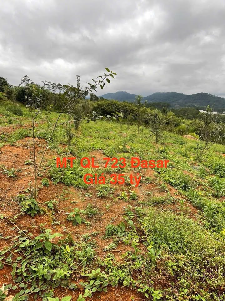 Đất nền xã Đạ Sar, Lạc Dương 2.341m² giá 35 tỷ - Cơ hội đầu tư hấp dẫn!