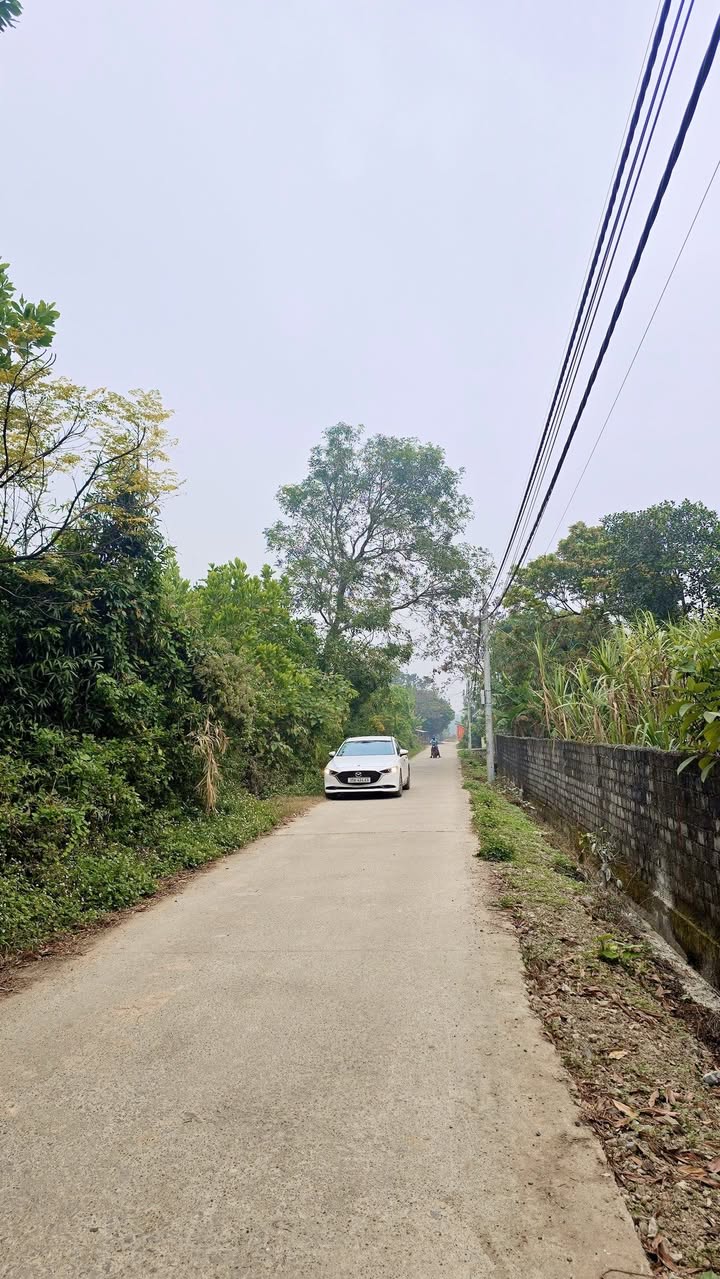 Đất nền Gia Lâm Nho Quan 165m² giá chỉ 550 triệu - Pháp lý rõ ràng!