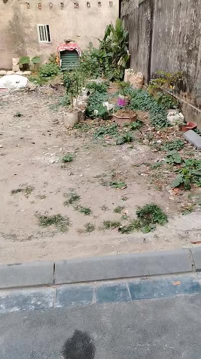 Đất nền Cổ Loa Đông Anh 48m² giá 3.888 tỷ - Chính chủ bán gấp!