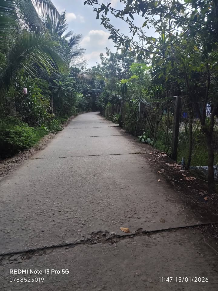 Đất Farm 30.000m² tại Xã Phú Phụng, Huyện Chợ Lách - Giá 2.8 tỷ, Đầu tư sinh lời!