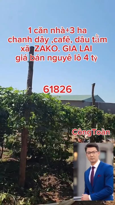 Farm 30,000m² tại Xã K'Dang, Huyện Đăk Đoa, Giá 4 tỷ - Cơ hội đầu tư hấp dẫn!