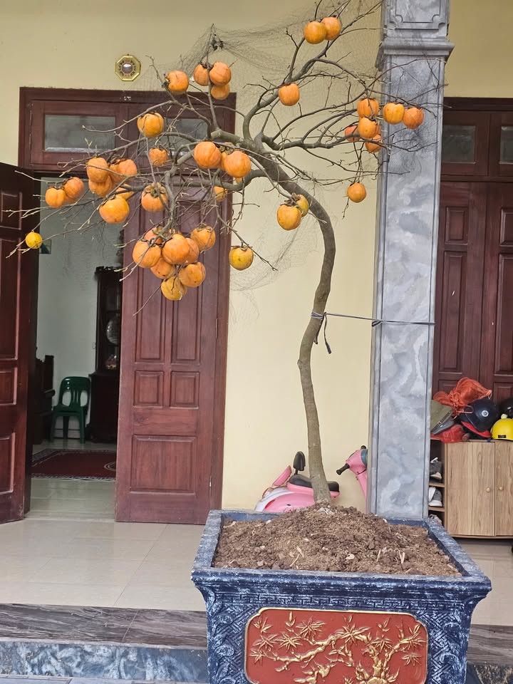 Đất thổ cư 180m² tại xã Hợp Hưng, huyện Vụ Bản - Giá 1 tỷ, cơ hội đầu tư tuyệt vời!