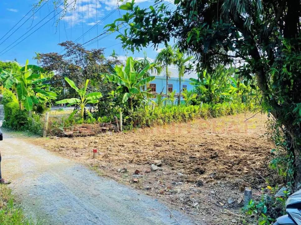 Đất ở Hương Toàn 141m² chỉ 550 triệu - Cơ hội đầu tư tuyệt vời!