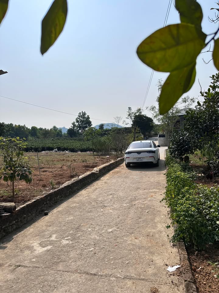 Đất nền xã Lục Ba, Đại Từ, Thái Nguyên 110m² giá 400 triệu - Cơ hội đầu tư tuyệt vời!