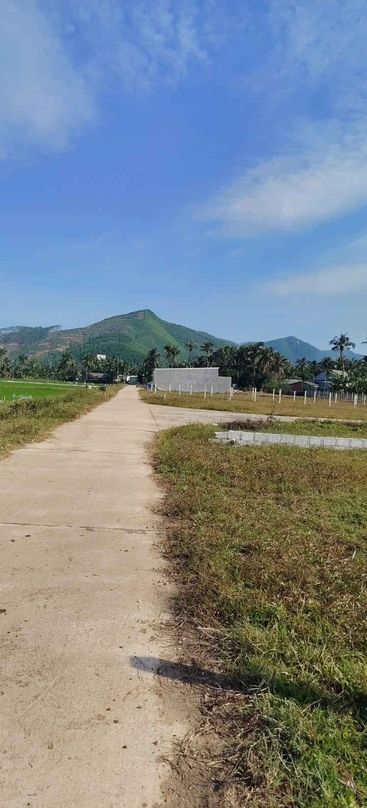 Đất Vĩnh Phụng 2 Hoài Xuân 150m² giá chỉ 5xx triệu - Cơ hội đầu tư hấp dẫn!