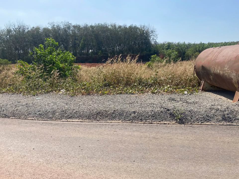 Đất nền 1000m² tại Đồng Phú, Bình Phước chỉ 290 triệu - Cơ hội đầu tư tuyệt vời!