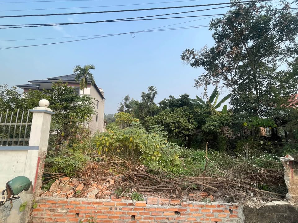 Đất nền Hợp Châu, Tam Đảo 124m² giá chỉ 600 triệu - View cánh đồng tuyệt đẹp!