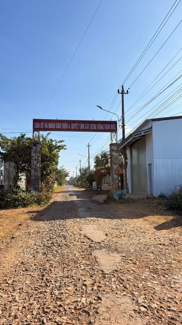 Đất thổ cư 60m² Hẻm 232 Chùa Phước Điền 18 tỷ - Cơ hội đầu tư sinh lời!