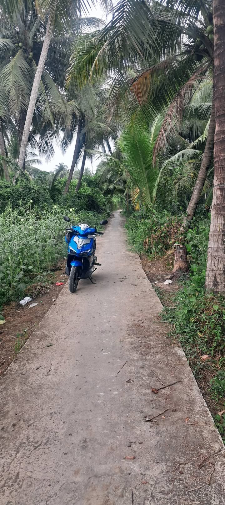 Đất nền 2419m² tại Ấp Bình Thủy, Chợ Gạo, Giá 1.2 tỷ - Cơ hội đầu tư sinh lời!