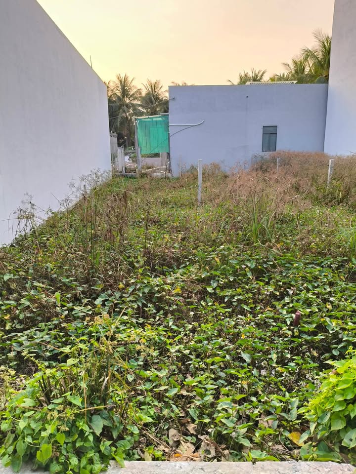 Đất nền Long Hòa B, Đạo Thạnh, 80m² giá 900 triệu - Cơ hội đầu tư hấp dẫn!