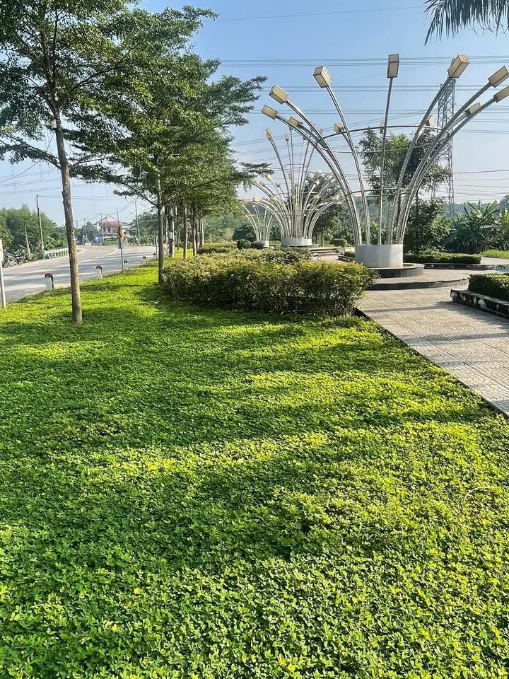 Bán gấp mặt tiền Quốc lộ 9, phường Đông Giang, 112.6m² - Hướng view sông, giá chỉ 760 triệu!