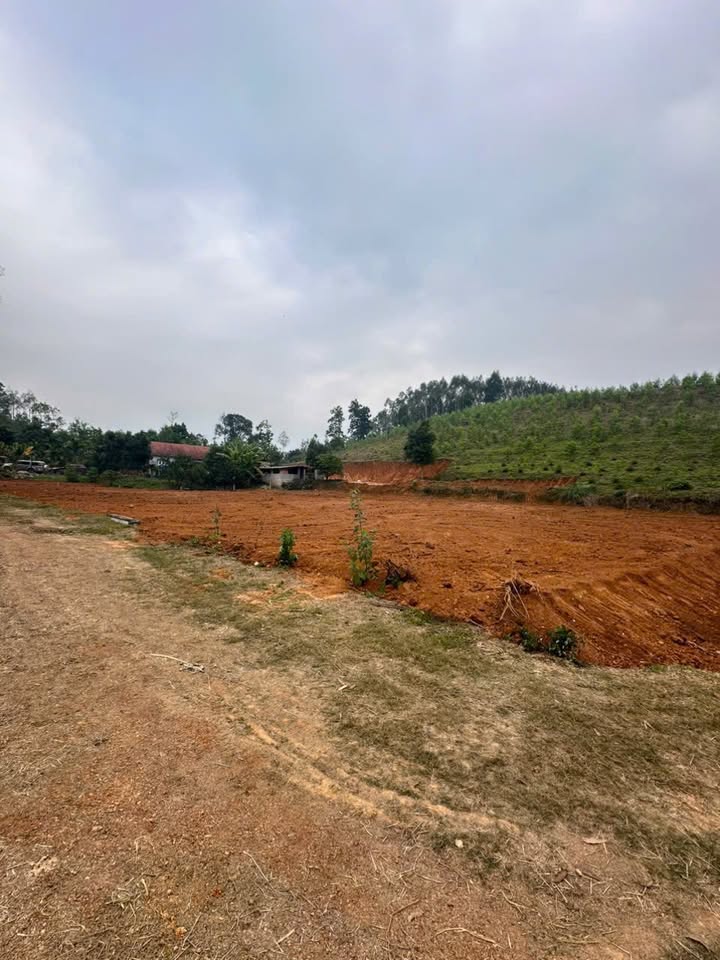 Đất thổ cư 210m² tại Đồng Đảng, Yên Thế - Giá chỉ 600 triệu VND!