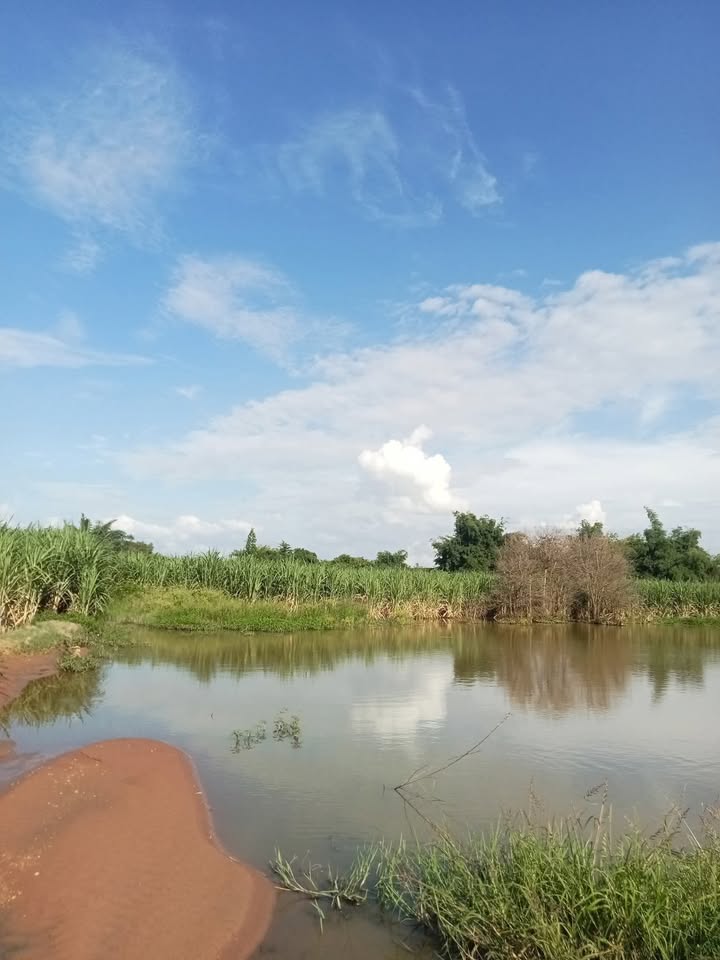 Bán đất nông nghiệp 8.4 sào xã Ea Lê, huyện Ea Súp, Đắk Lắk - Giá chỉ 320 triệu!