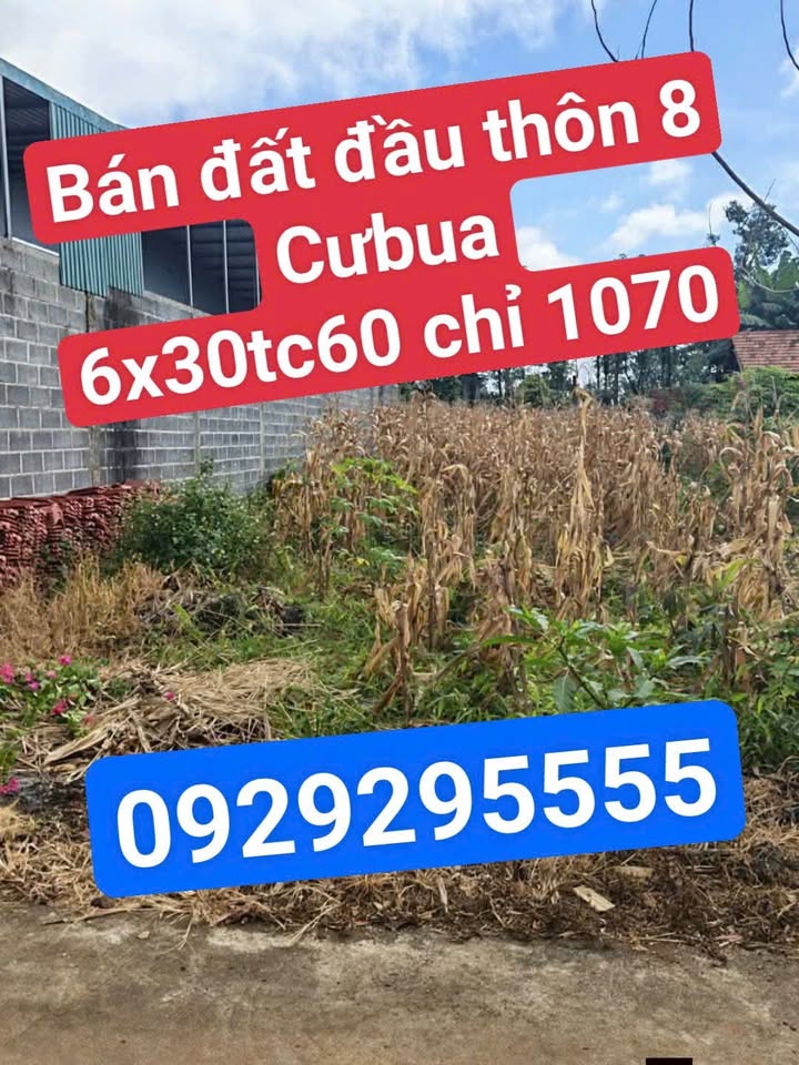 Đất ở Thôn 8 Cư Êbur - Buôn Ma Thuột 180m² giá 1.07 tỷ - Cơ hội đầu tư tuyệt vời!