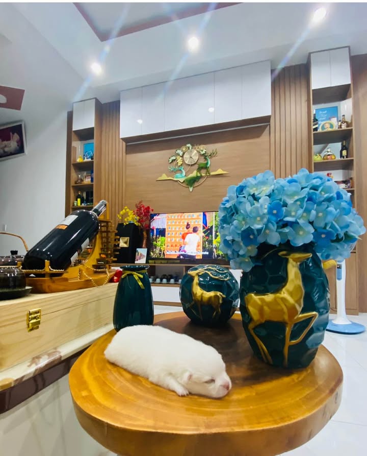 Nhà cấp 4 Gò Cát 6, 125m² giá 2.89 tỷ - Pháp lý rõ ràng, không lỗi phong thủy!