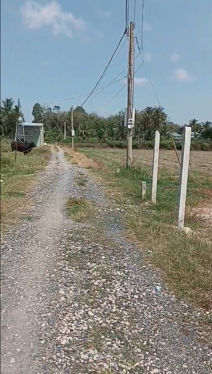 Đất nền An Bình, Châu Thành, Tây Ninh 130m² giá 210 triệu - Cơ hội đầu tư hấp dẫn!