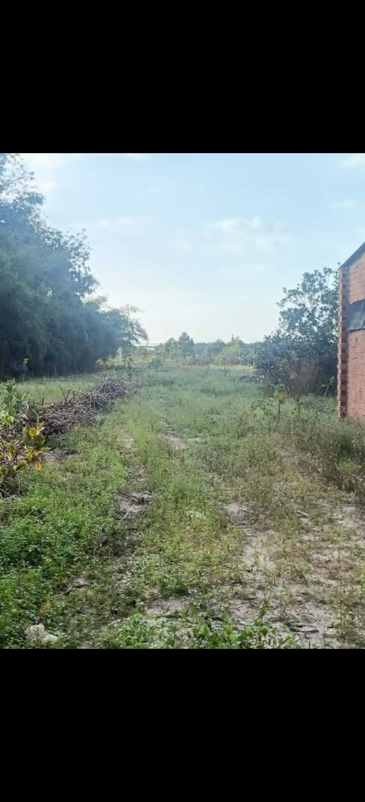 Đất thổ cư 636m² Xã An Cơ - Giá 420 triệu, Thương lượng ngay!