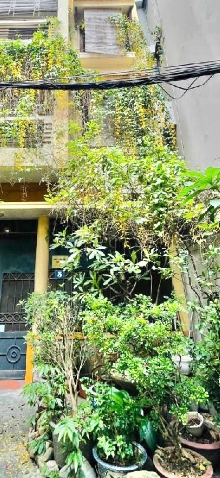 Căn hộ 5 tầng Võ Thị Sáu 70m² giá 18 tỷ - Đầu tư sinh lời ngay!