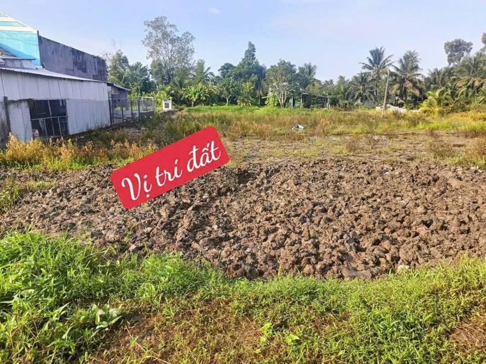 Đất nền Lô 6 Long Phú Tam Bình 501m² giá 350 triệu - Pháp lý rõ ràng, sẵn sàng chuyển nhượng!