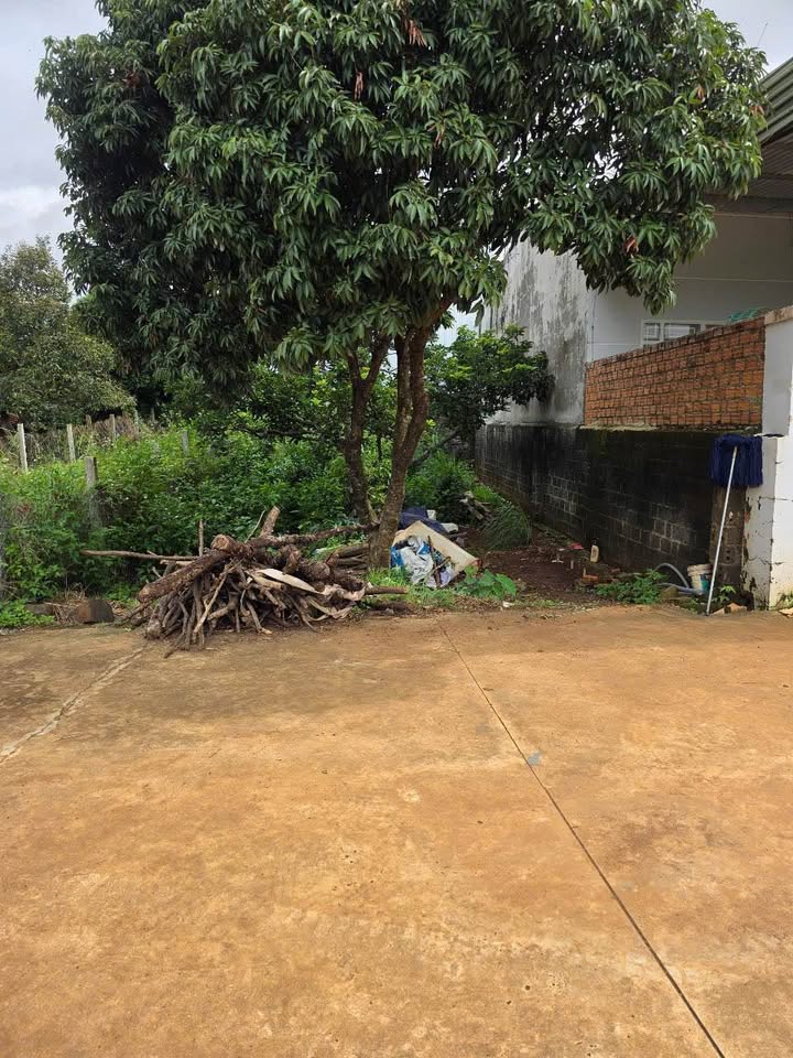 Đất nền Tân An Buôn Ma Thuột 88m² giá 1.1 tỷ - Sổ đỏ chính chủ, hẻm ô tô