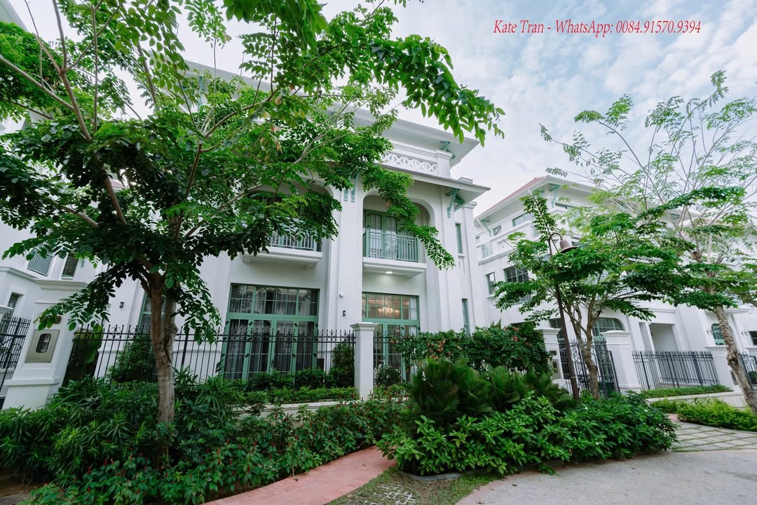 Cho thuê Villa Tropical Bãi Khem 4 phòng ngủ - Giá siêu hấp dẫn!