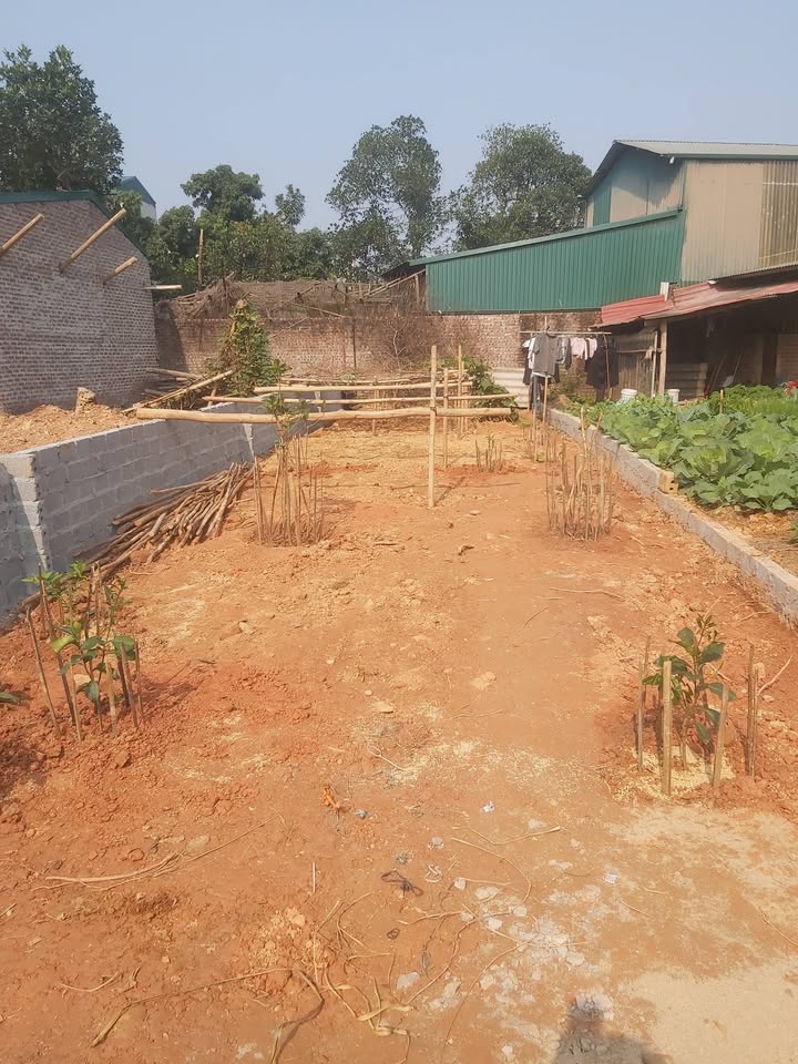 Đất thổ cư Tổ 7, Thị trấn Bát Xát 90m² giá 1.39 tỷ - Đầu tư sinh lời lý tưởng!