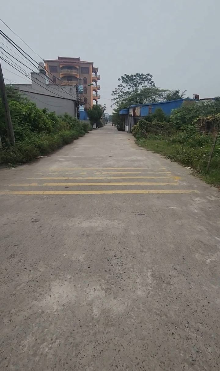 Đất nền Trần Thái Tông, 100m² giá 2.295 tỷ - An ninh tốt, ô tô tải tránh nhau!