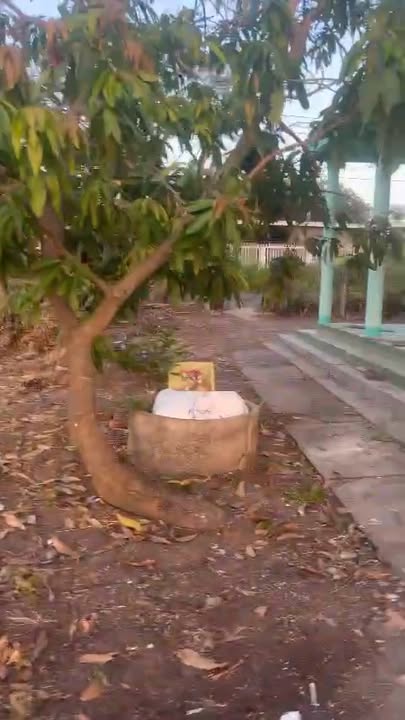 Đất vườn 1xào tại Phan Thiết - Giá chỉ 1 tỷ, thích hợp làm nhà vườn!