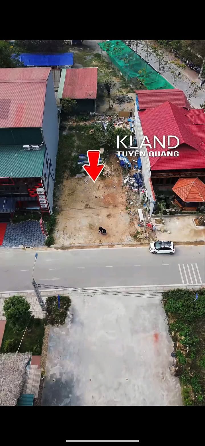 Đất cho thuê Khu ẩm thực Xuân Hòa, Tuyên Quang 384m² - Vị trí vàng cho kinh doanh!