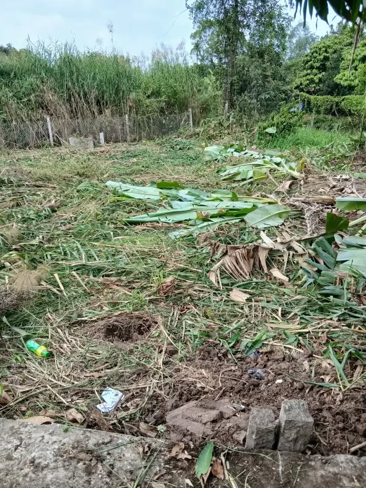 Đất nền Giai Xuân, Phong Điền 93m² giá 399 triệu - Sổ hồng chính chủ